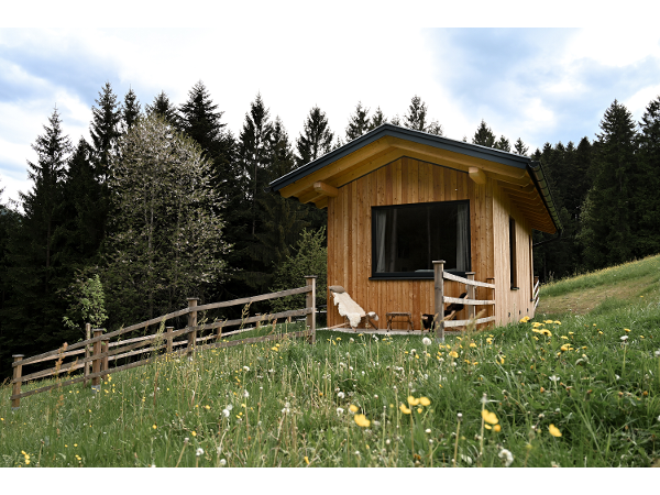 Bild 6 von GRÜN Tiny Houses