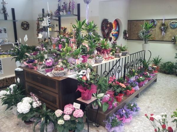 Bild 1 von Blumeninsel Spanblöchel-Wimmer