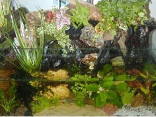 Bild 5 von Aquarium Doc