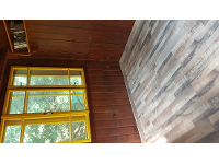 Malerei Von Jesus Mit Einem Lowe Auf Schonem Buntem Hintergrund