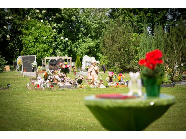 Bild 5 von Anima Tierbestattung - Tierfriedhof Waldesruh - Büro