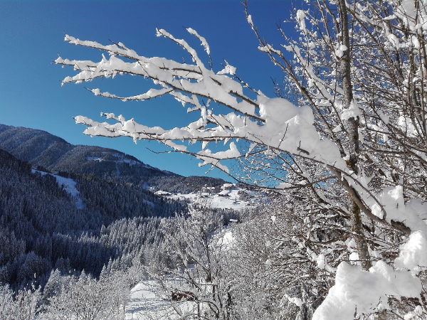 Bild 11 von Haus Anita Fam. Strieder