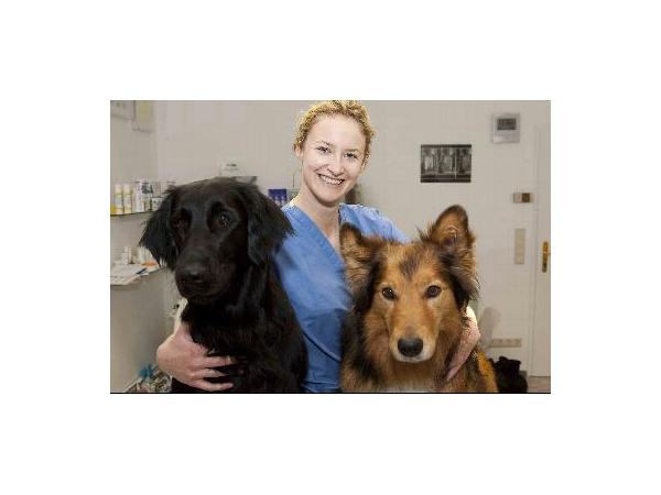 Bild 1 von Tierarztpraxis Gersthof Dipl Tzt Sanja Polz-Saam BVetMed MRCVS