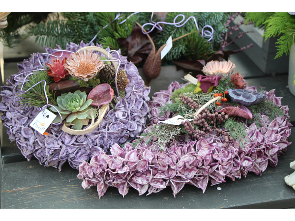 Bild 67 von Gartenbau-Blumen Helmut Friedl