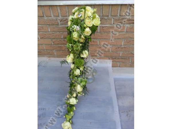 Bild 1 von Blumen Schürer