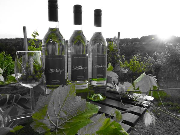 Bild 13 von Buschenschank Weingut Luttenberger Rupert