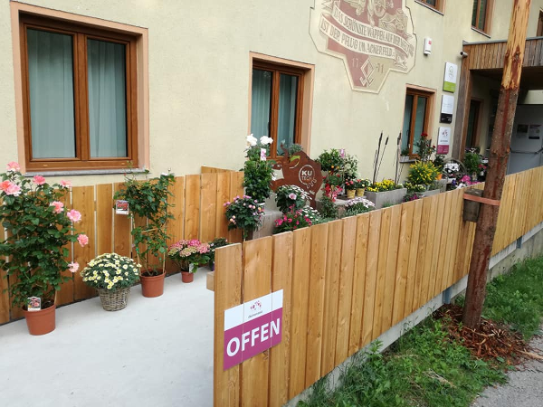 Bild 7 von blumenzeit - Anneliese Mahl