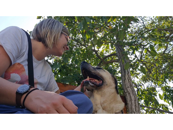 Bild 4 von Like Cats and Dogs Hunde- und Katzenverhaltensberatung Pia Weidinger, MSc