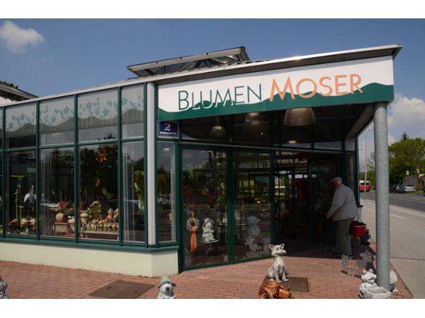 Bild 1 von Franz Moser