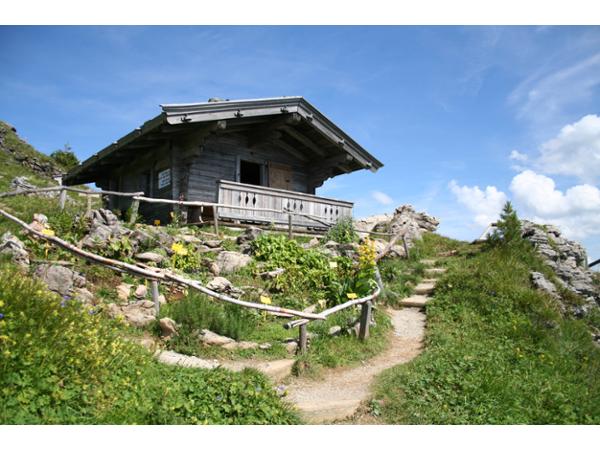Bild 6 von Alpenhaus Kitzbüheler Horn 1670m - Franz Reisch