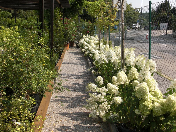 Bild 14 von Michel's Gartenmarkt