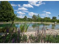 FRICKE Gründächer- u Gartengestaltung GmbH