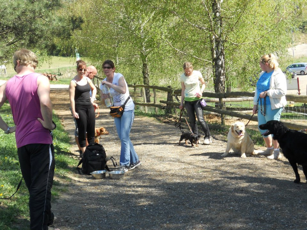 Bild 14 von Hundeschule V.A.S.Z.-Mistelbach