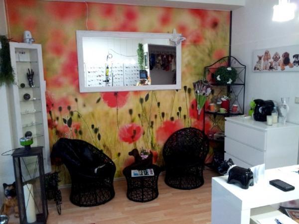 Bild 3 von PetWell Hundesalon