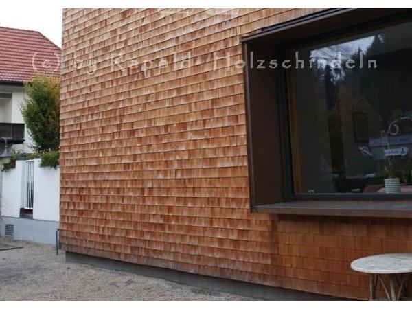 Bild 9 von Rapold Harald Schindelheimat
