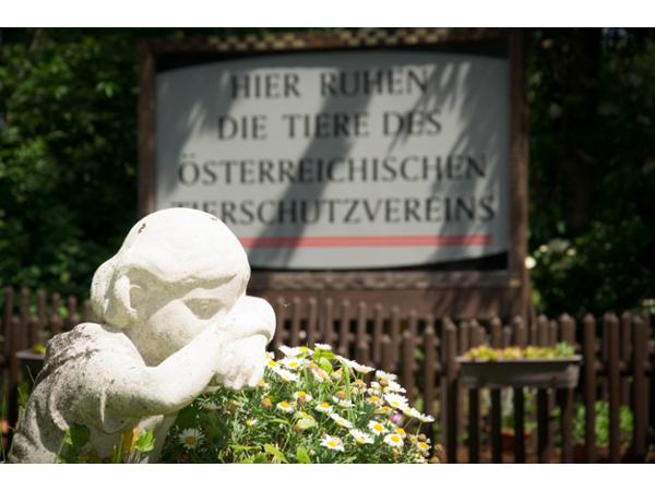 Bild 7 von Anima Tierbestattung - Tierfriedhof Waldesruh - Büro