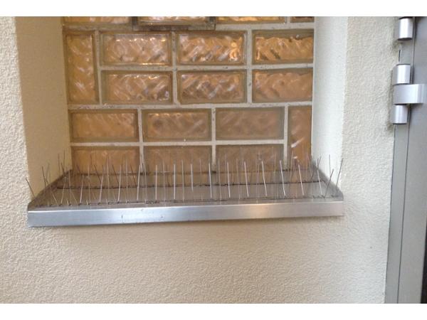 Bild 28 von ATROX GmbH