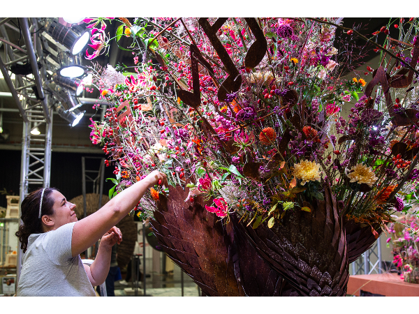 Bild 8 von Blumen Höfer - Blumen & Geschenksideen