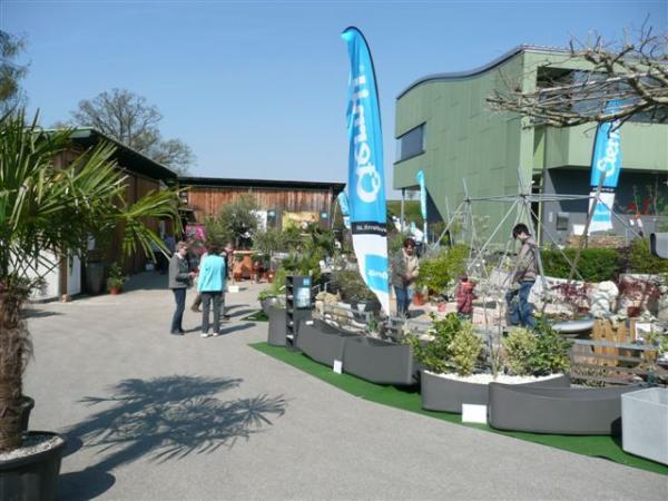 Bild 6 von gartendesign.at GmbH