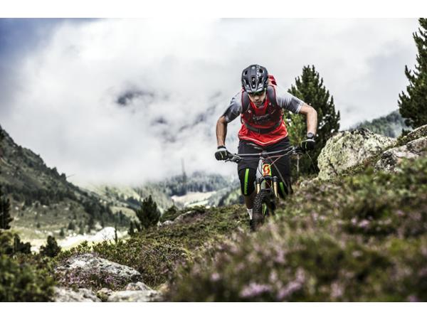 Bild 31 von Friesis Bikery GmbH