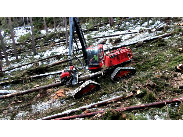 Bild 21 von Holzernte KraWe GmbH & Co KG