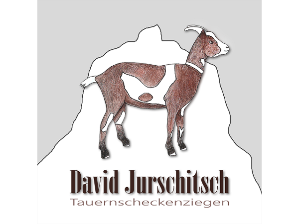 Bild 1 von Tauernschecken Herdebuchzucht Jurschitsch