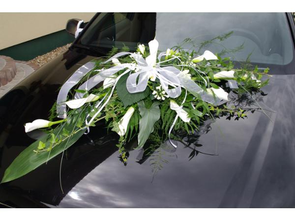 Bild 17 von Blumen Weiss