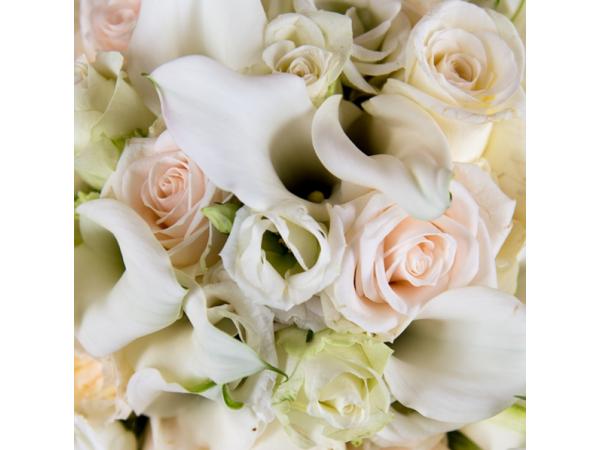 Bild 2 von Blumen & Lifestyle Brigitta Spelthuis im Arkadenhof