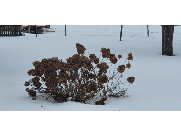 Bild 12 von Haus Christoph