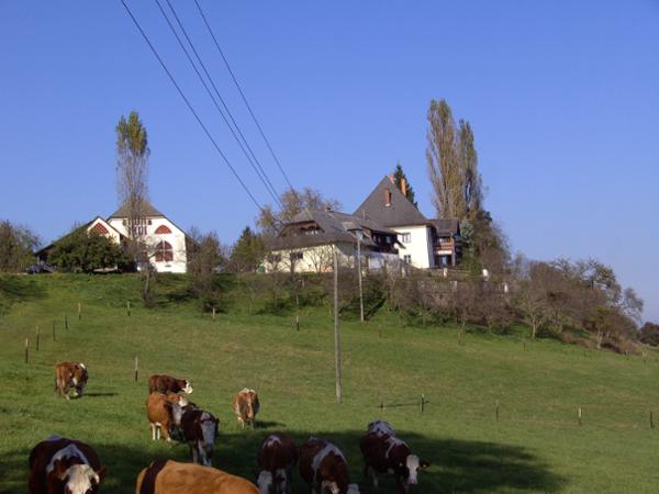 Bild 8 von Wainzerbauer - Franz Klimbacher