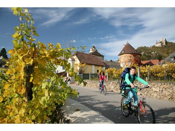 Bild 14 von Dorfhotel Grüner Baum