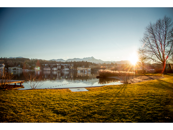 Bild 7 von VILLA BULFON