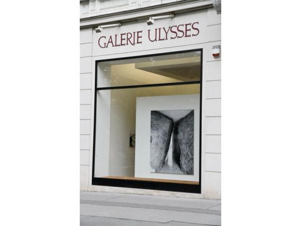 Bild 1 von Ulysses Kunsthandels GesmbH