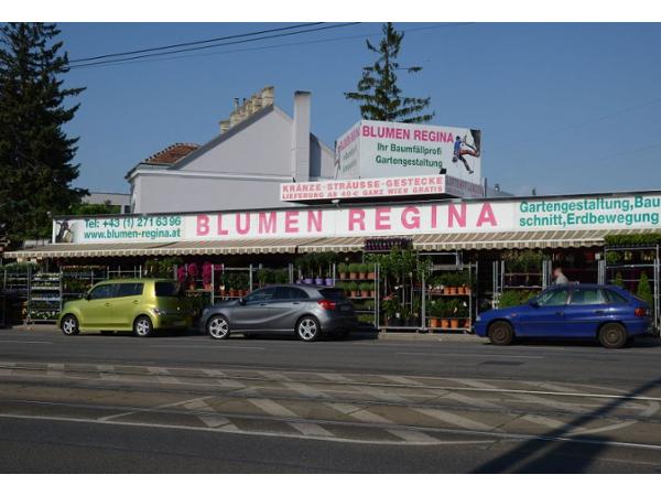Bild 1 von Blumen Regina