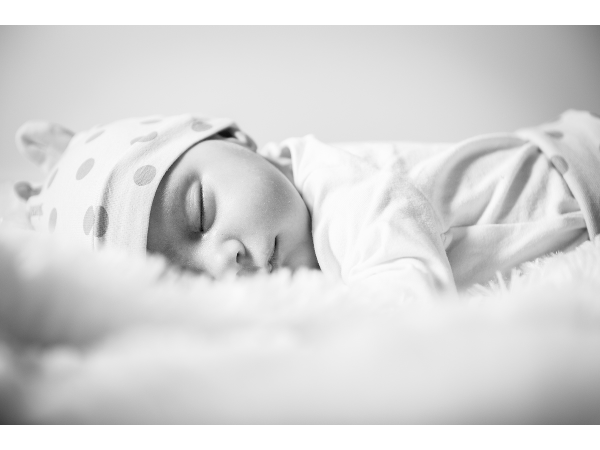 Bild 107 von MEDIArt Photographie
