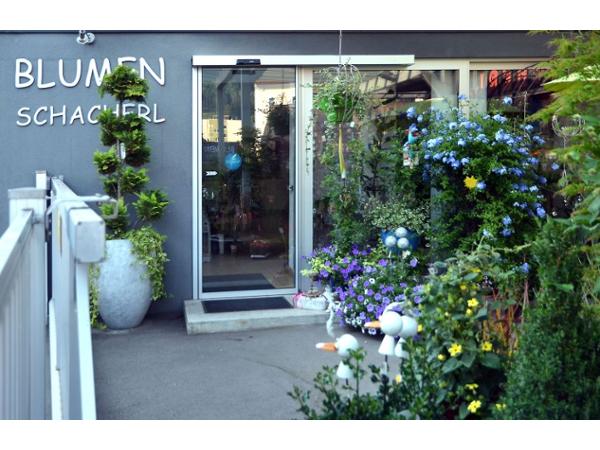 Bild 1 von Blumen Schacherl Andrea - Floristenmeisterbetrieb