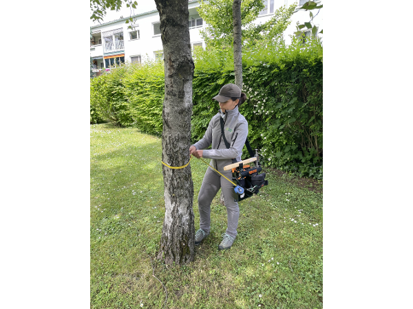 Bild 3 von SV Prosenz und Novak GmbH