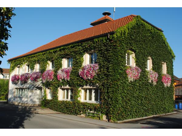 Bild 1 von Gemeindeamt der Gemeinde Mäder