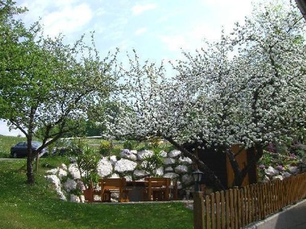 Bild 7 von Haus Seefeld Fam. Appesbacher