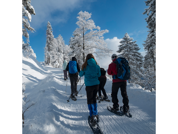 Bild 2 von Bergführerbüro Reutte / Tirol