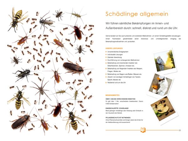Bild 8 von AGIL Dienstleistungen GmbH