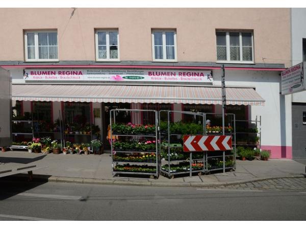 Bild 1 von Blumen Regina