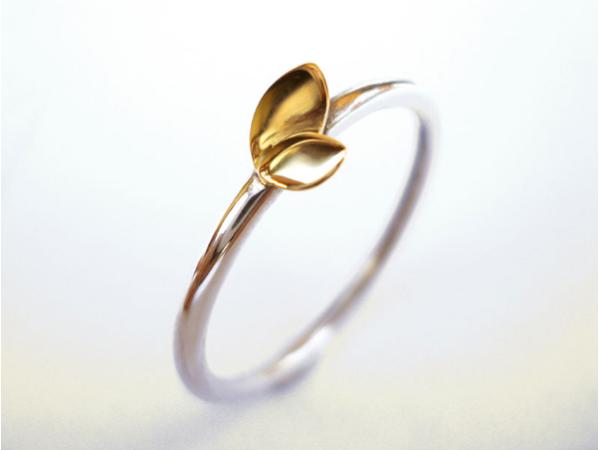 Bild 1 von Atelier O'Shea - Ihre Eheringe-Goldschmiede