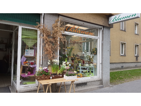 Bild 2 von Blumen Michaela Klima