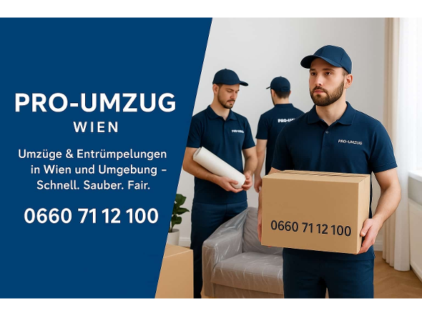 Bild 3 von Pro-Umzug