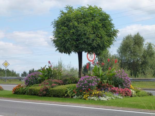 Bild 4 von Stillfrieder Forst u Gartenbau KG
