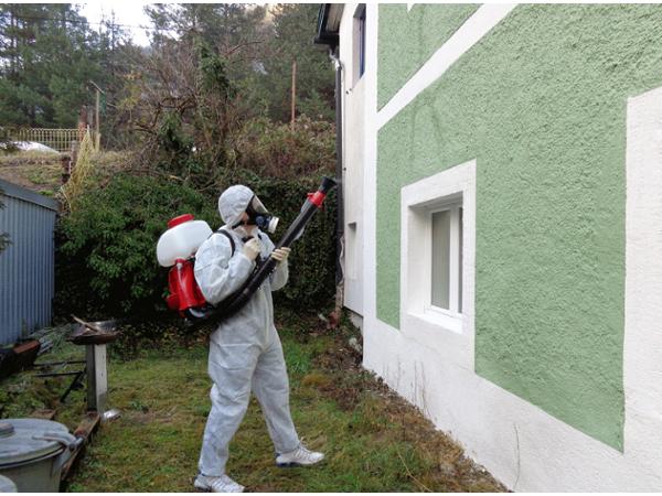 Bild 2 von ContraPest Schädlingsbekämpfung & Taubenabwehr e.U.