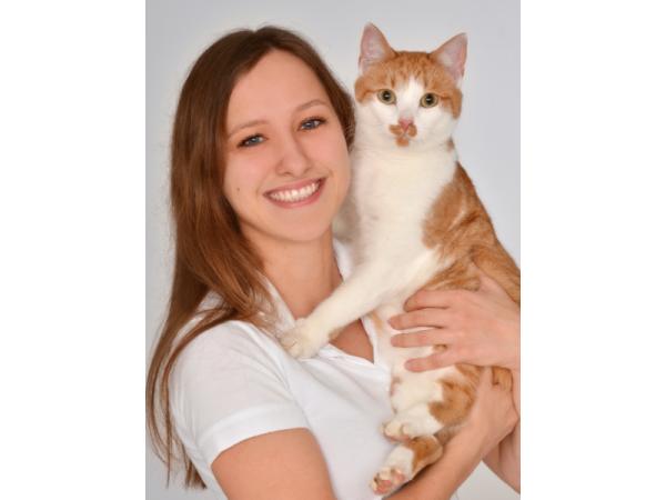 Bild 15 von ACC Mag. Georg Egger Kleintierklinik- animal care center