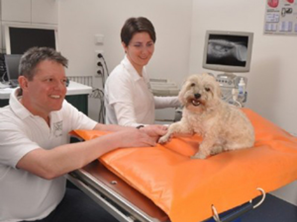 Bild 10 von Tierklinik Imst