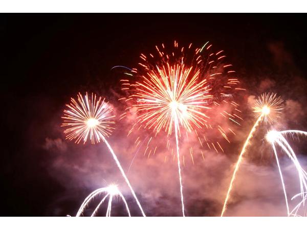 Bild 8 von Fire Flower Feuerwerkskunst
